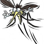 mosquito