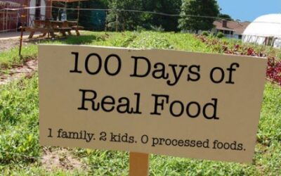 Wow! 88 Healthy Snack Ideas from “100 Days of Real Food”