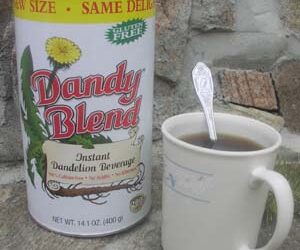 Product Review: Dandy Blend!